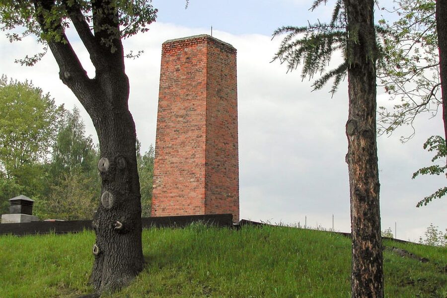 Krakow: Auschwitz-Birkenau Day Trip with Tour Leader - Comfort matters on a hard day