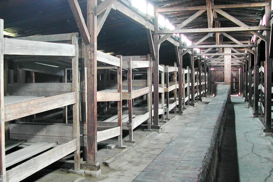 Krakow: Auschwitz-Birkenau Day Trip with Tour Leader - Krakow pickup and the 8-hour schedule that can run long