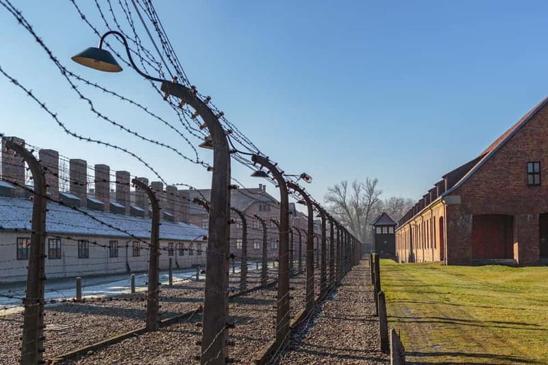 Krakow: Auschwitz-Birkenau Entry Ticket and Transfer - Key highlights you will actually feel on the day