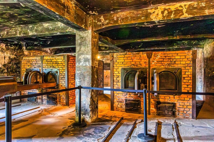 Krakow: Auschwitz-Birkenau Guided Tour and Private Transport - Key highlights worth marking on your map