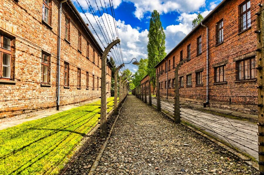 Krakow: Auschwitz-Birkenau Guided Tour and Private Transport - The value of a licensed Auschwitz and Birkenau guide
