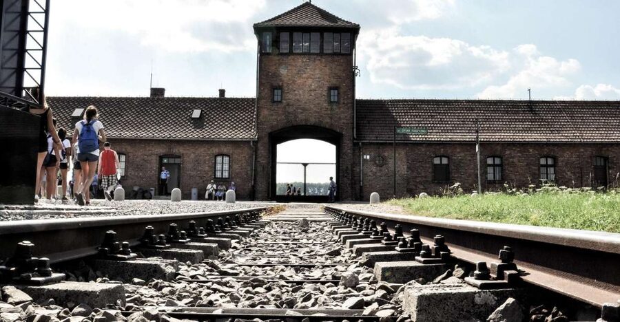 Krakow: Auschwitz-Birkenau Guided Tour Pickup/Lunch Options - Key highlights before you go