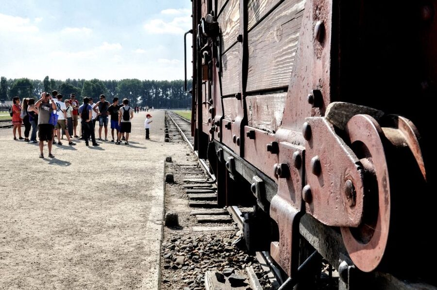 Krakow: Auschwitz-Birkenau Guided Tour Pickup/Lunch Options - Transportation comfort and group management: what matters on an 8-hour day