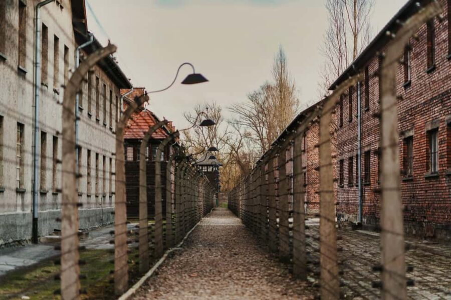 Krakow: Auschwitz-Birkenau Guided Tour with Transportation - Key highlights I’d plan around
