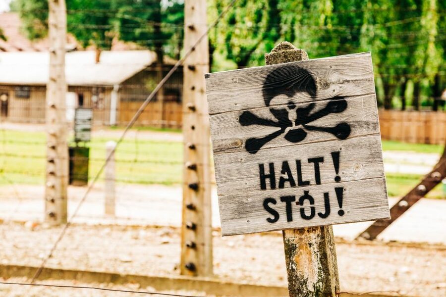 Krakow: Auschwitz-Birkenau Live Guided Tour & Hotel Pickup - What the day feels like with a good guide (Matt, Anna, Bob, Matias)