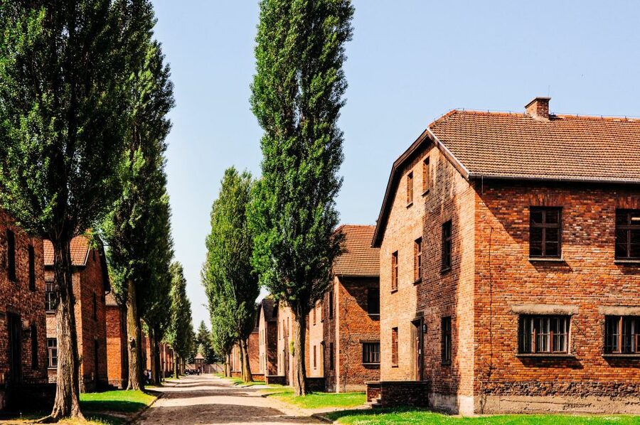 Krakow: Auschwitz-Birkenau Live Guided Tour & Hotel Pickup - Guide quality: why the best reviews focus on delivery, not just dates