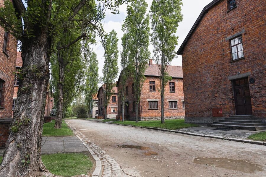 Krakow Auschwitz-Birkenau Memorial Guided Tour Meeting Point - Key highlights you will feel during the day