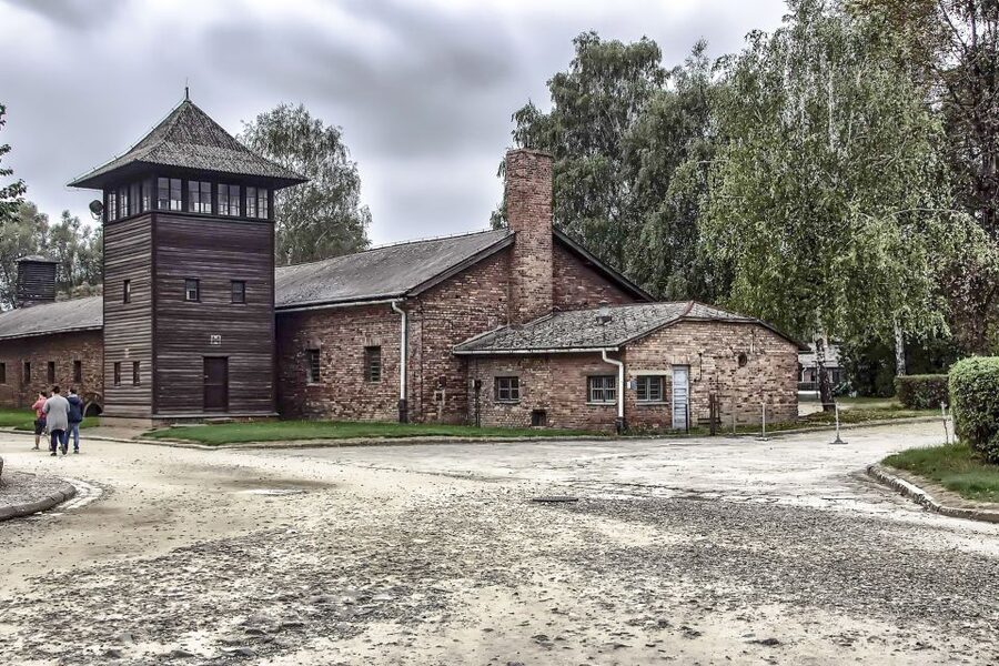 Krakow: Auschwitz Birkenau Museum Guided Tour with Pickup - The guide, the audio, and how you get the details