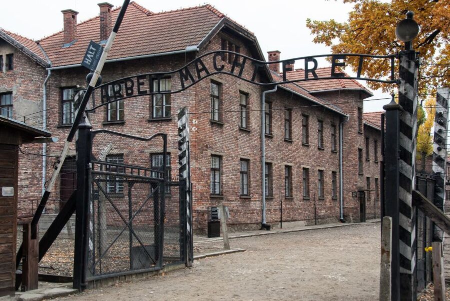 Krakow: Auschwitz Birkenau Museum Guided Tour with Pickup - What the day feels like: moving, waiting, and staying respectful