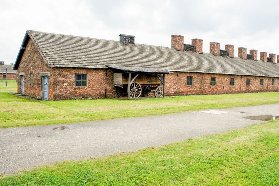 Krakow: Auschwitz Birkenau Museum Guided Tour with Pickup - Price and value: what $8 gets you, and what you should expect
