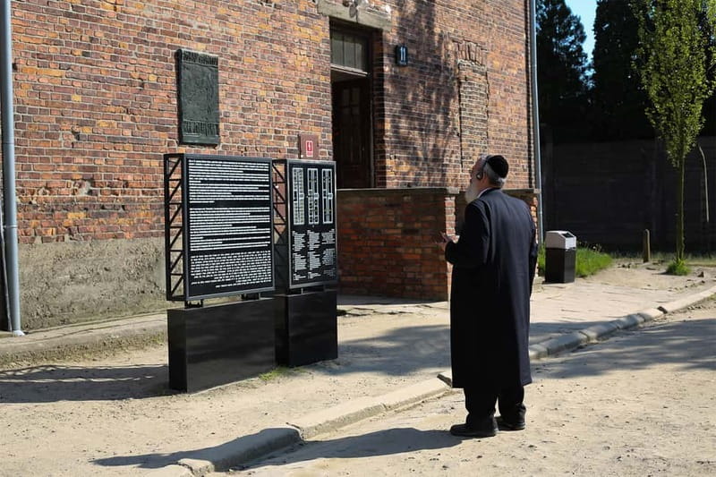 Krakow: Auschwitz-Birkenau Private Guided Tour - Key highlights to look for before you go