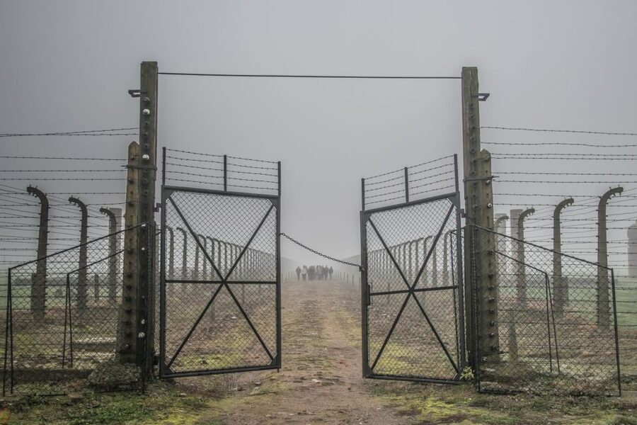 Kraków: Auschwitz-Birkenau & Salt Mine Full-Day Guided Tour - Key takeaways before you go