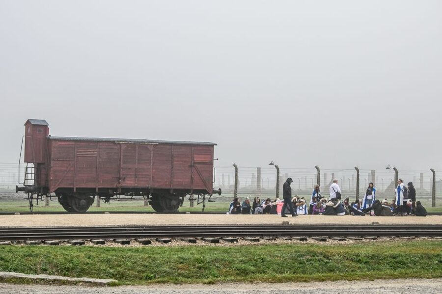 Kraków: Auschwitz-Birkenau & Salt Mine Full-Day Guided Tour - Should you book the Krakow Auschwitz-Birkenau and Salt Mine full-day tour?