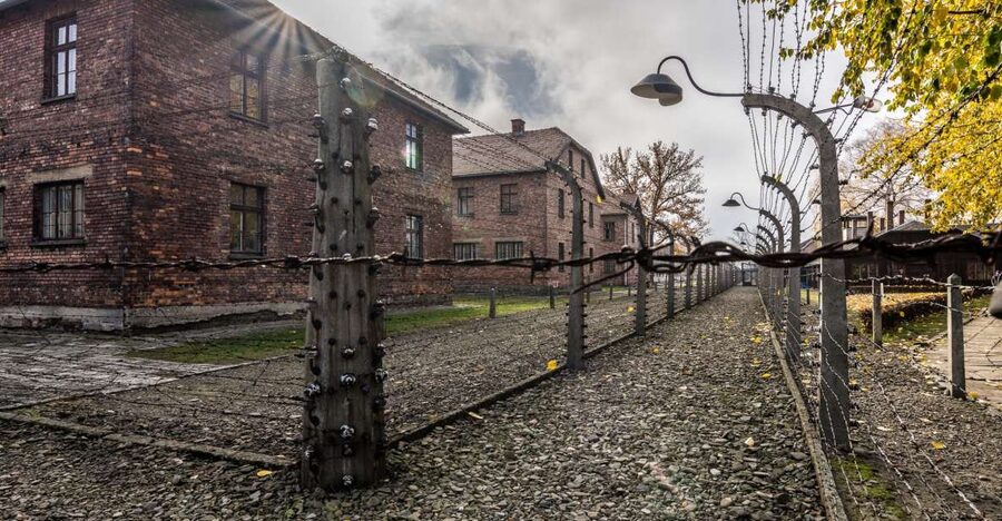 Kraków: Auschwitz-Birkenau & Salt Mine Full-Day Guided Tour - Transport between camps: air-conditioned rides that keep the schedule real