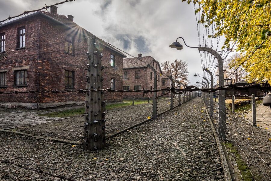 Kraków: Auschwitz-Birkenau & Salt Mine Full-Day Guided Tour - Wieliczka Salt Mine: 800 steps down to a 135-meter deep underground art world