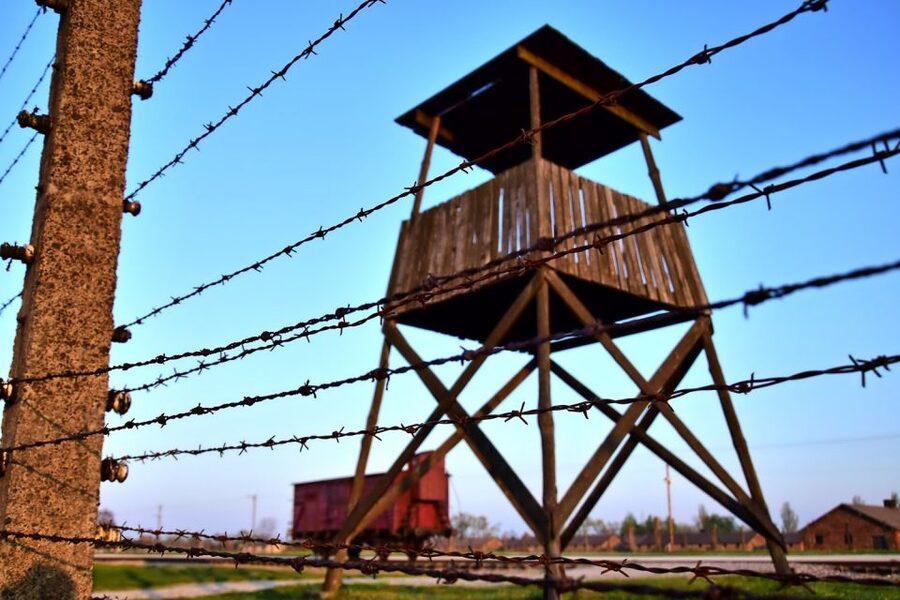 Kraków: Auschwitz-Birkenau & Salt Mine Full-Day Guided Tour - What you get for the price: value that comes from guides, headsets, and transportation