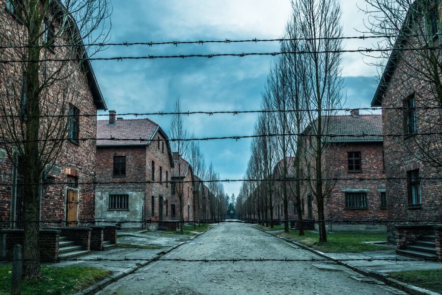 Kraków: Auschwitz-Birkenau & Salt Mine Full-Day Guided Tour - Who this tour fits best, and who should choose something else