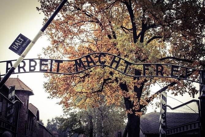 Krakow: Auschwitz-Birkenau Tour & Museum Expert Guide - Walking, weather, and respectful behavior you can control