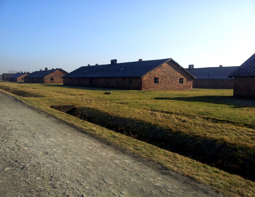 Krakow: Auschwitz-Birkenau & Wieliczka Salt Mine with Lunch - Who this day works for, and who should choose a different plan