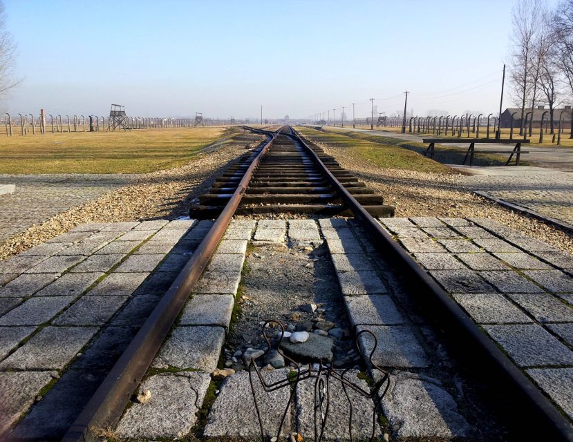 Krakow: Auschwitz-Birkenau & Wieliczka Salt Mine with Lunch - Should you book this Auschwitz and Wieliczka tour?