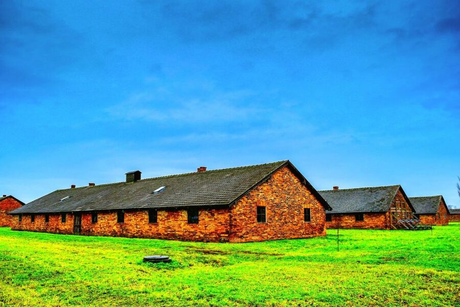 Krakow: Auschwitz Guided Tour with Optional Hotel Pickup - Who should book this Auschwitz-Birkenau tour from Krakow, and who should skip it