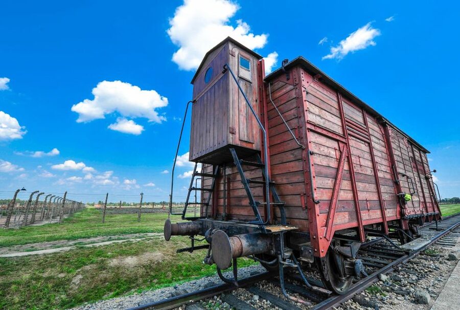 Krakow: Auschwitz Guided Tour with Optional Hotel Pickup - Transport, pickup options, and why start times matter in Krakow