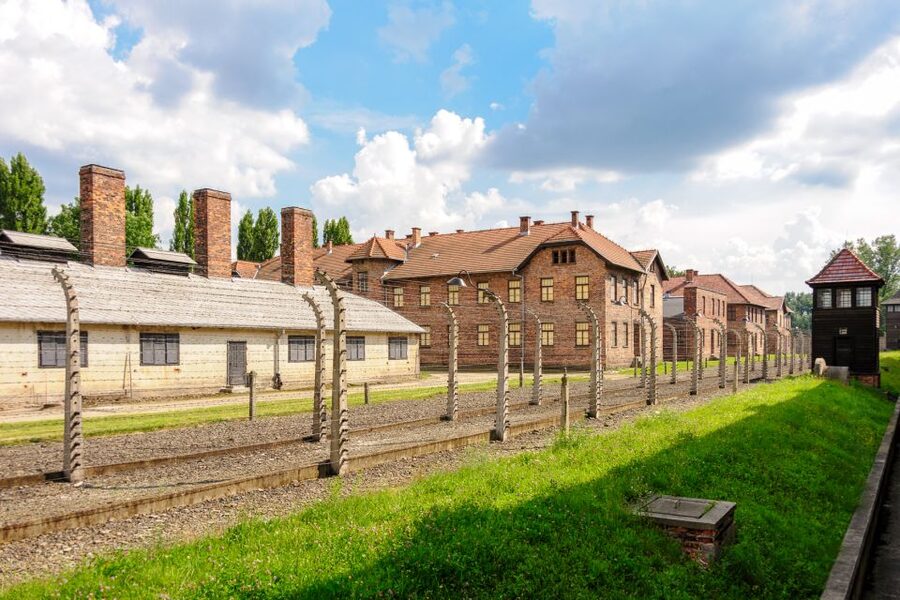 Krakow: Auschwitz Guided Tour with Pickup and Optional Lunch - Who This Tour Fits Best, and Who Might Want to Rethink It