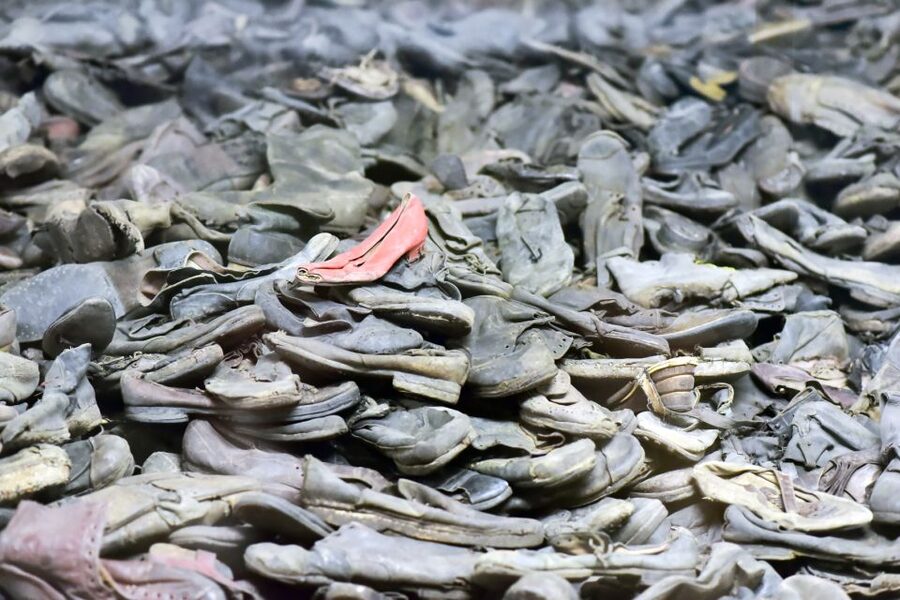 Krakow: Auschwitz Guided Tour with Pickup and Optional Lunch - Pickup, Ride Time, and Drop-Off: The Logistics That Shape Your Comfort