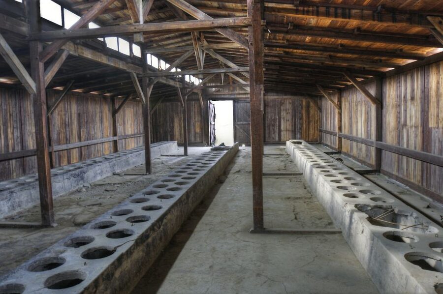 Krakow: Auschwitz Guided Tour with Pickup and Optional Lunch - Lunch Break Timing: How to Eat Without Wasting the Day