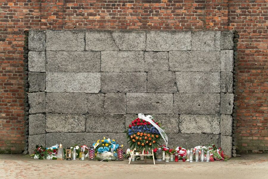 Krakow: Auschwitz Guided Tour with Pickup and Optional Lunch - The 15-Minute Reset Before Birkenau Is Not a Small Thing