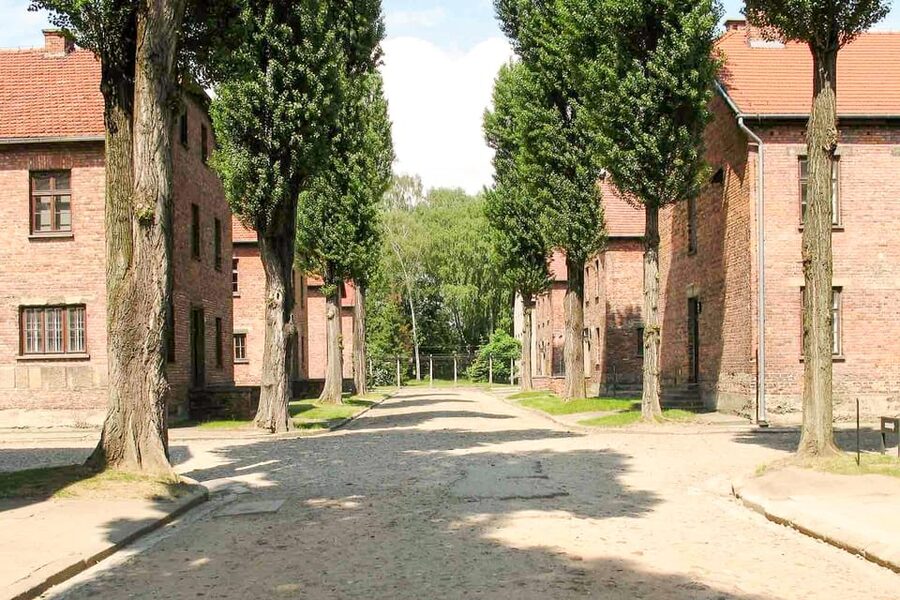 Krakow: Auschwitz & Wieliczka Salt Mine Guided Day Tour - Price and value: what $54 covers, and what to budget extra