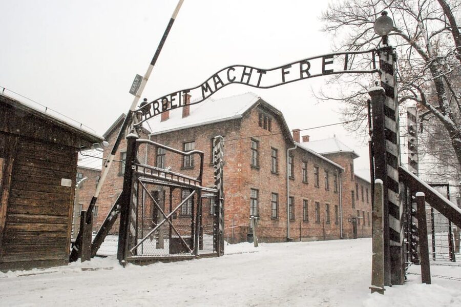 Krakow: Auschwitz & Wieliczka Salt Mine Guided Day Tour - Who should book this, and who should skip it