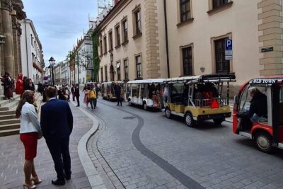 City Sightseeing Tour Eco Electric Buggy Golf Cart