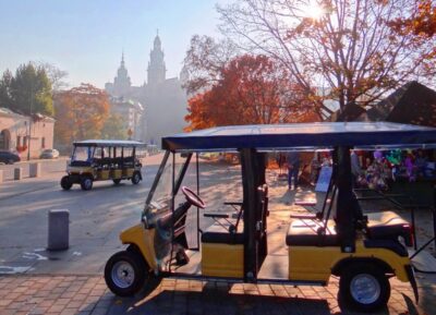 City Tour by Electric Golf Cart