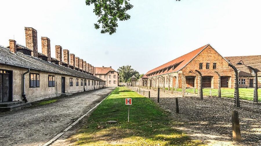 Krakow: Full-Day Auschwitz-Birkenau & Salt Mine Guided Tour - What the $118 price buys you, and when it’s worth it