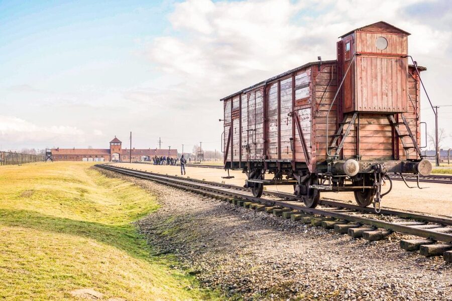 Krakow: Full-Day Auschwitz-Birkenau & Salt Mine Guided Tour - Who this Krakow Auschwitz and Wieliczka combo suits best