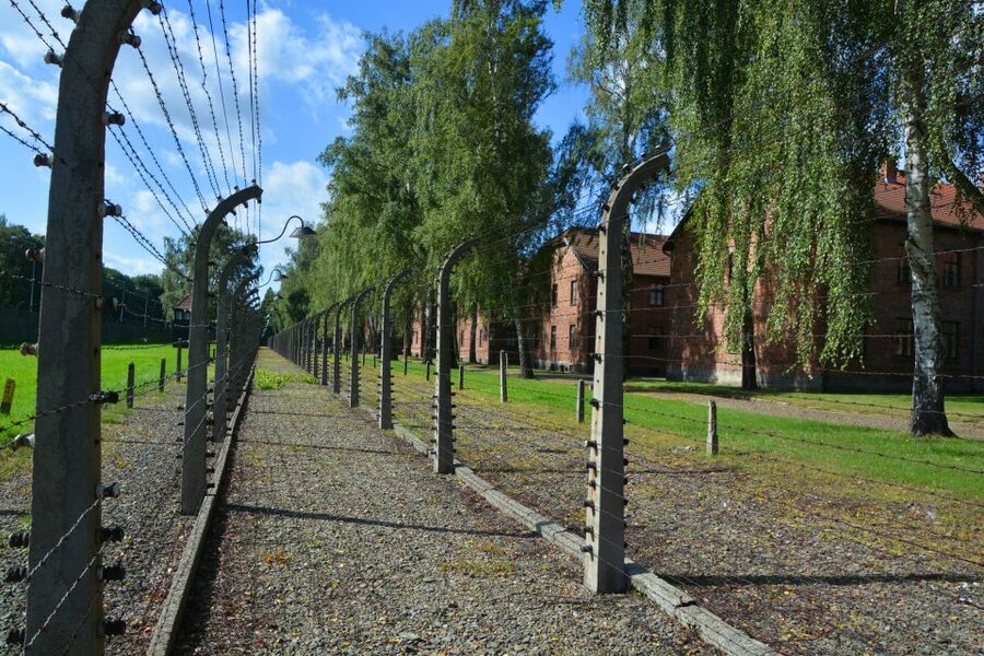 Krakow: Guided Auschwitz Birkenau Tour - Key takeaways before you go