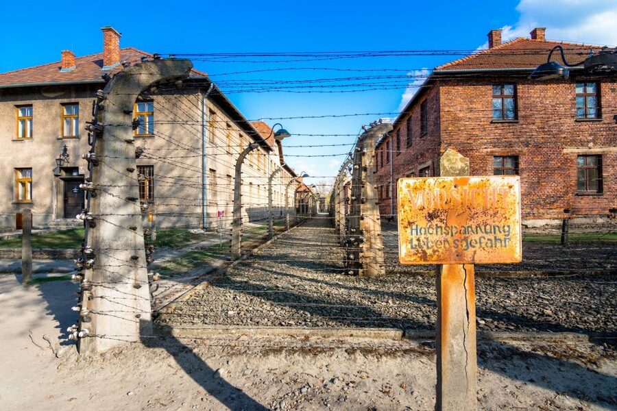 Krakow: Guided Auschwitz Birkenau Tour - Your guide’s role: clarity, dignity, and answering the questions that matter