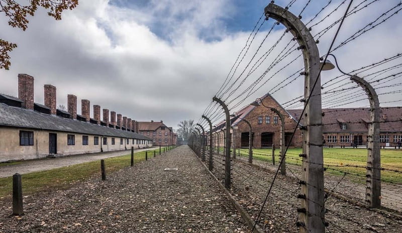 Krakow: Last Minute Auschwitz-Birkenau Guided Tour - Auschwitz I highlights: what the guide helps you actually notice
