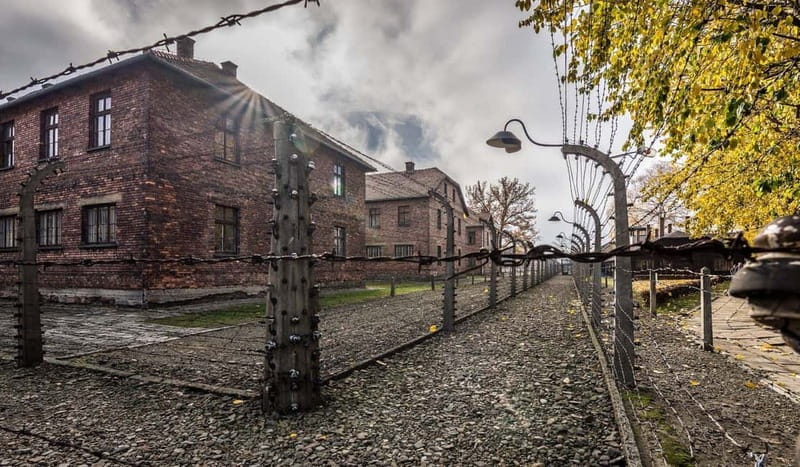 Krakow: Last Minute Auschwitz-Birkenau Guided Tour - Auschwitz II-Birkenau: the Final Solution on the ground
