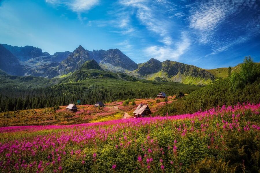 Krakow: Tatra Mountains and Zakopane Full-Day Private Tour - Krupowki Street: Zakopane’s main promenade in real life