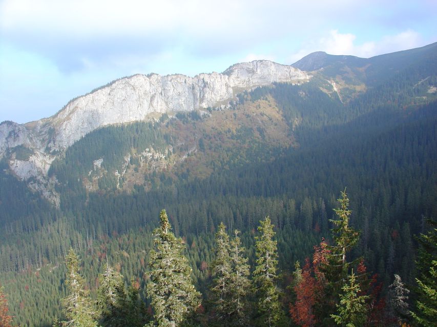 Krakow: Tatra Mountains and Zakopane Full-Day Private Tour - The Great Krokiew ski jumping venue, seen with context
