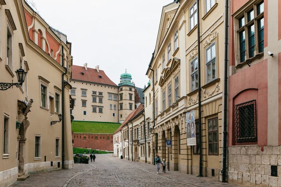 Krakow: Wawel Royal Hill with Optional Castle and Cathedral - Who This Wawel Hill Tour Suits Best