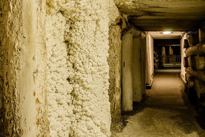 Krakow: Wieliczka Salt Mine Guided Tour with Hotel Pick-up option - Skip-the-line entry and what you actually get from your guide