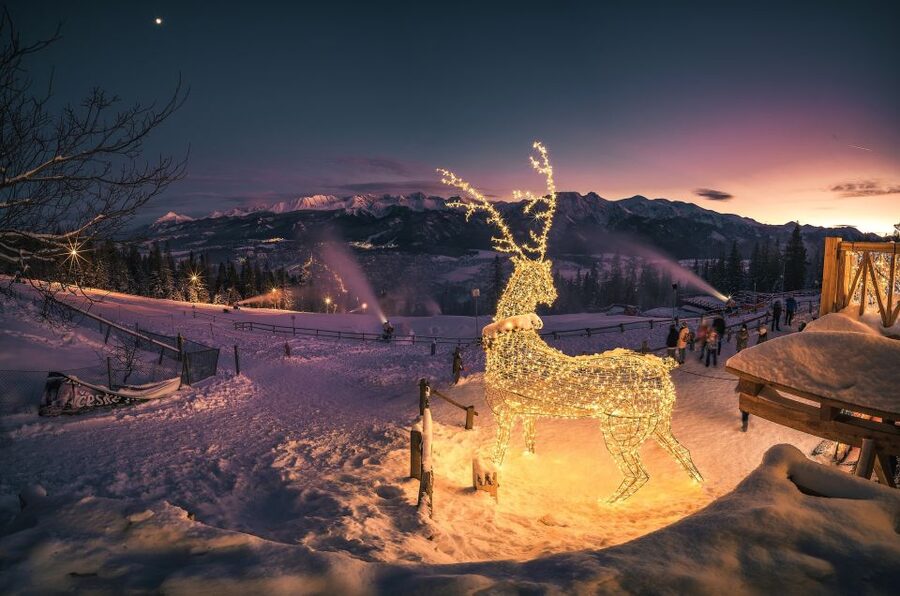Krakow: Zakopane Tatra Mountains, Cable Car, Local Tasting - Guides, pacing, and why the group tour actually works