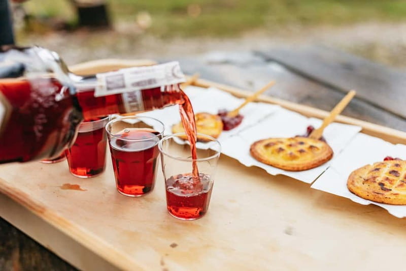 Krakow: Zakopane Tour with Chocholow Hot Baths and Cable Car - Chochołów village and Kościelisko tastings: where the food fits the scenery