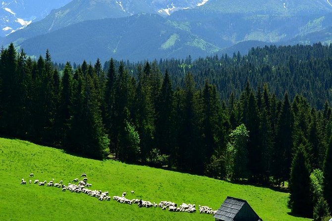 Krakow: Zakopane with Thermal Baths, Cable Car & Hotel Pickup - Krupówki Street free time: the mountain promenade you can browse at your pace