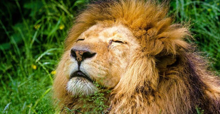 Krakow: Zoo with Hotel Pickup - Key Highlights I Would Not Skip