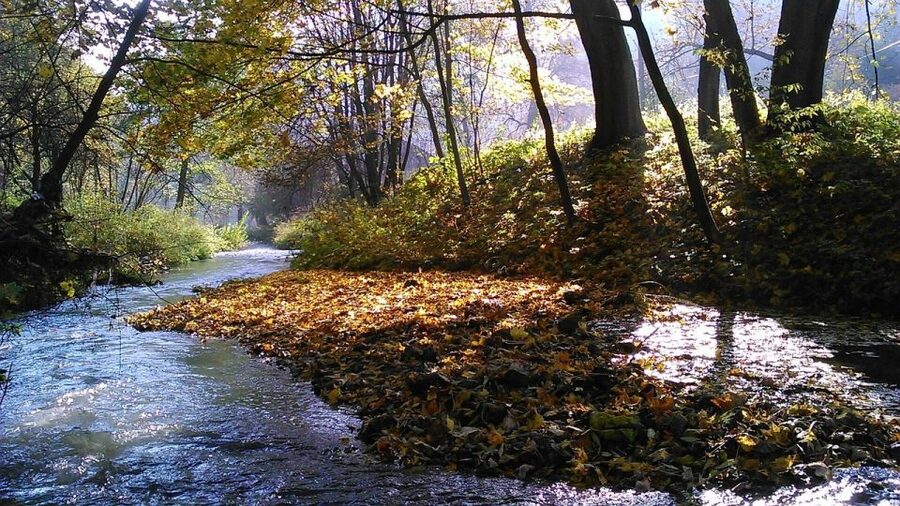 Ojcow National Park: Full-Day Trip from Krakow - Who should book this Ojcow day trip, and who should skip it