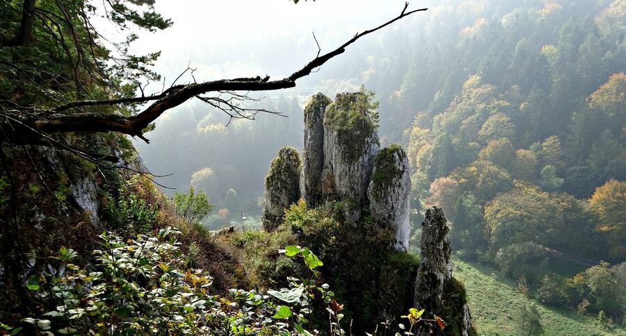 Ojcow National Park: Full-Day Trip from Krakow - Pieskowa Skala, a well-preserved castle on a limestone cliff